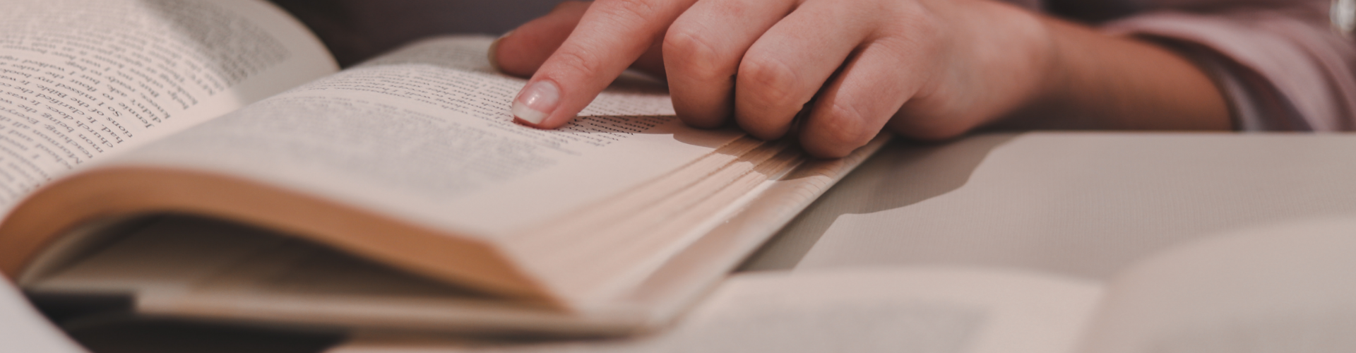 Estamos en desarrollo disculpe las molestias