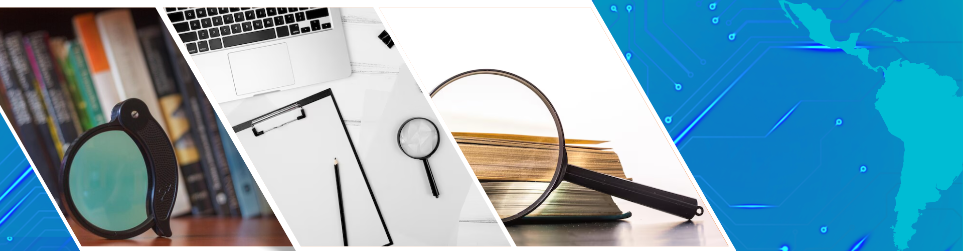 Primer plano de una flor roja con pétalos delicados